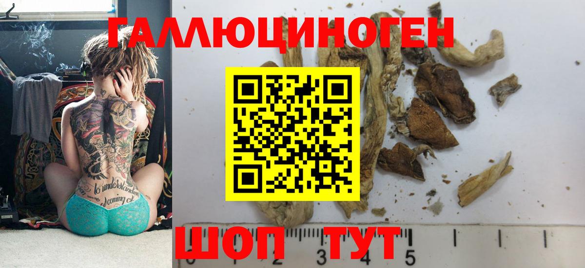 Псилоцибиновые грибы мицелий Зима