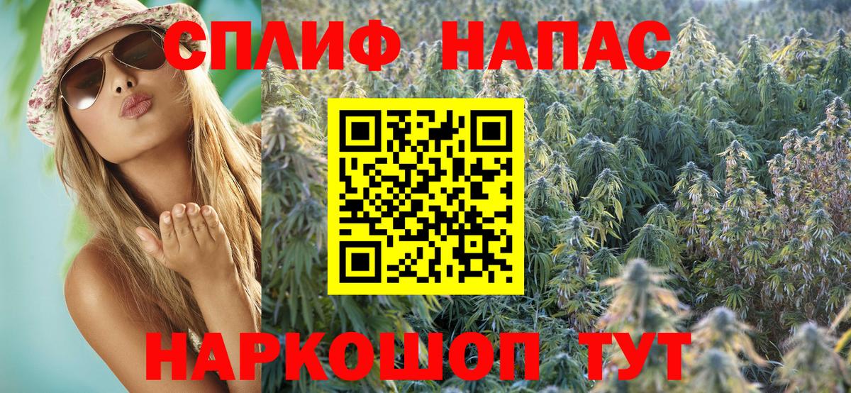 Каннабис Amnesia Зима